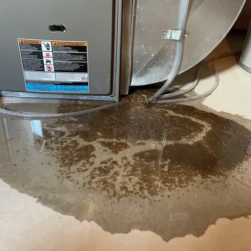 Appliance Leak Cleanup in East Haven, CT